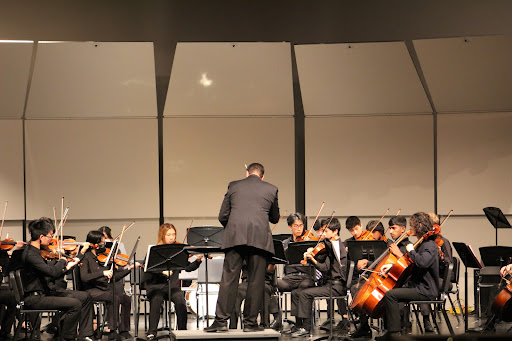 The Chamber Orchestra performing at the Pops Concert