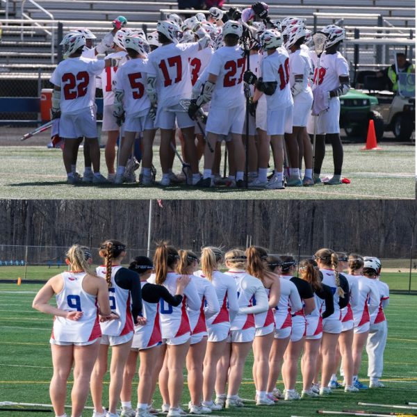 Photos provided by: Chris Godschall and Cheryl Cudzilo